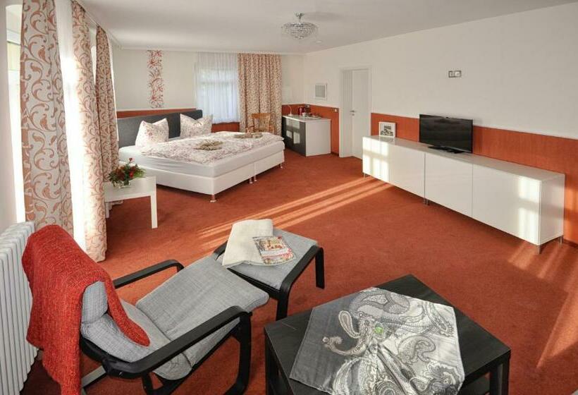 جناح جونيور مزوَّد بشرفة, Dampfschiff