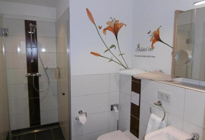 غرفة قياسية مطلّة علي الحديقة, Dampfschiff