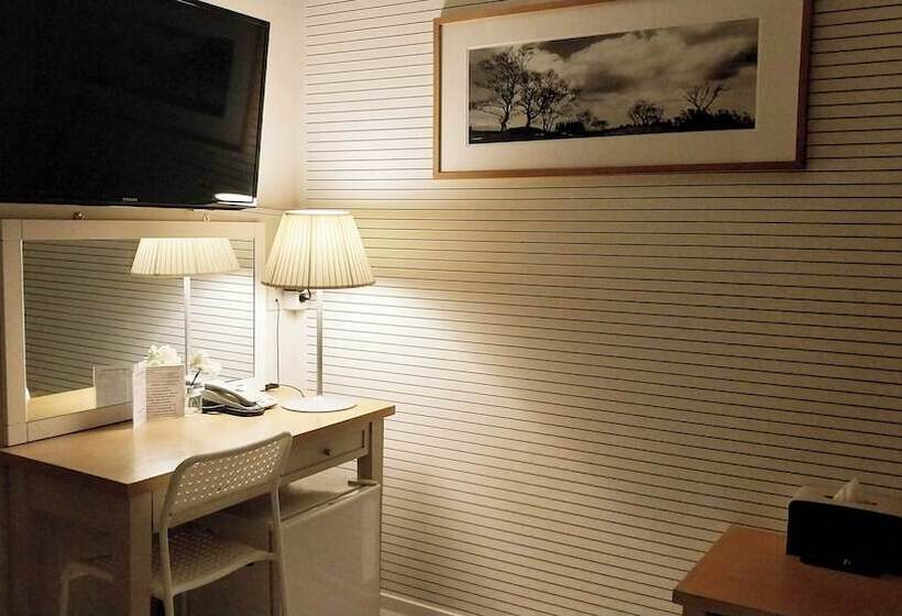 带2个双人床的标准工作室, Golden Park