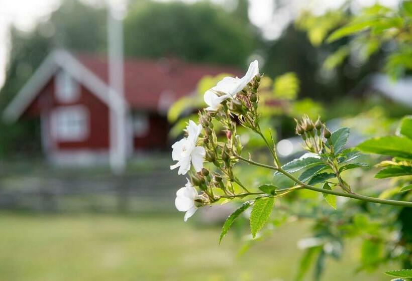 스탠다드 룸 가든 전망, Modal Annex