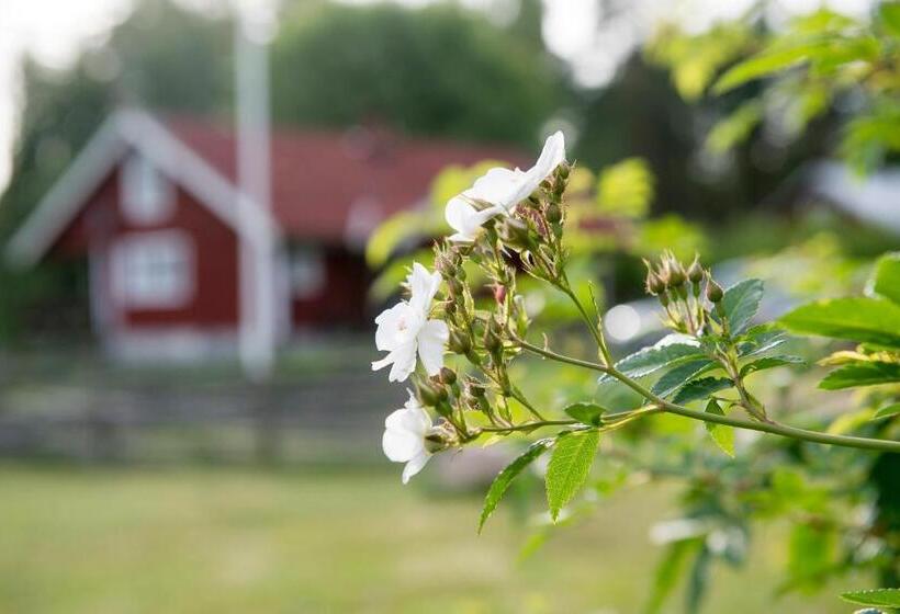 패밀리 룸, Modal Annex