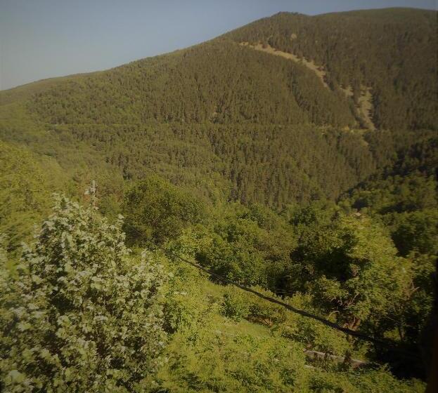 스탠다드 룸, Can Gasparó Hotelrural&restaurant