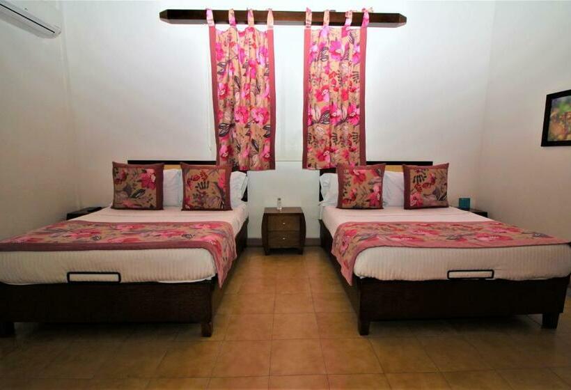 ２ダブルベッドのスタンダードルーム, Amazilia