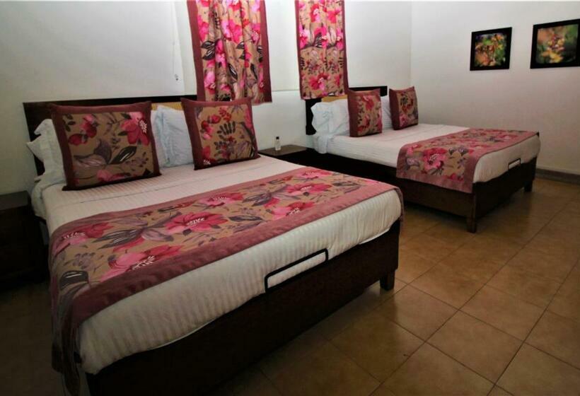 ２ダブルベッドのスタンダードルーム, Amazilia