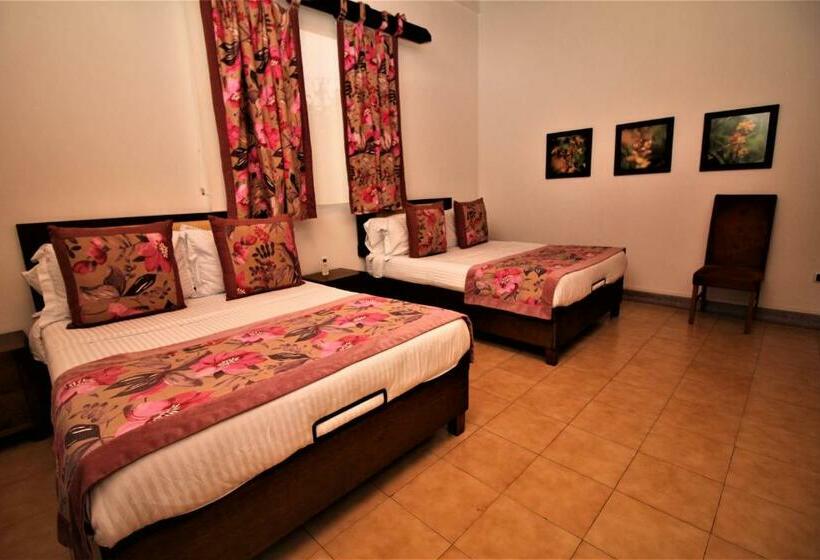 ２ダブルベッドのスタンダードルーム, Amazilia