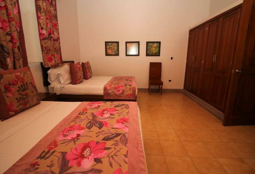 ２ダブルベッドのスタンダードルーム, Amazilia