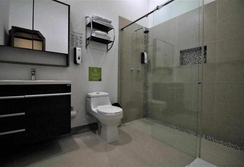 ２ダブルベッドのスタンダードルーム, Amazilia