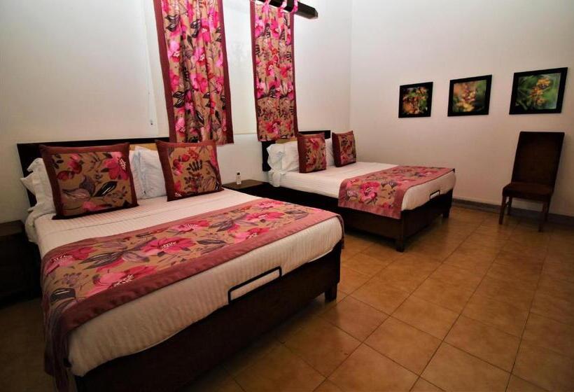 ２ダブルベッドのスタンダードルーム, Amazilia