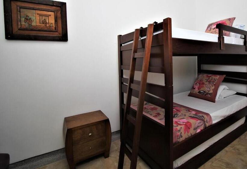 浴室共有ファミリールーム, Amazilia