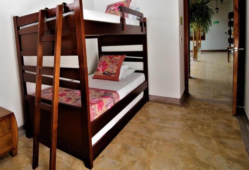 浴室共有ファミリールーム, Amazilia