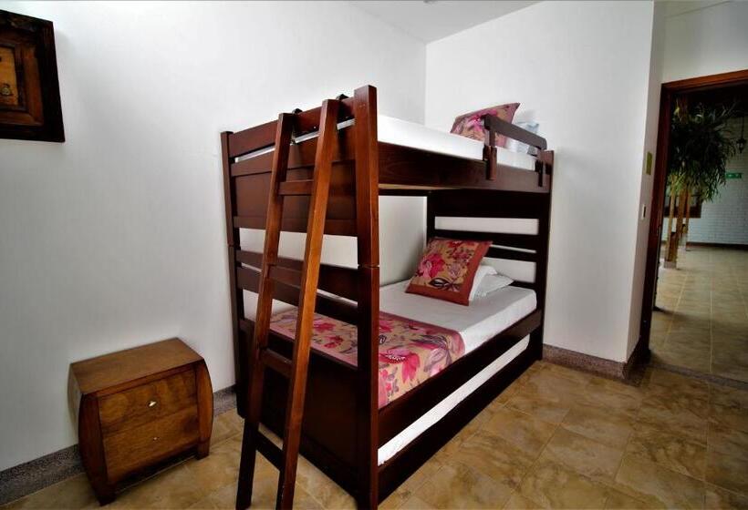 浴室共有ファミリールーム, Amazilia