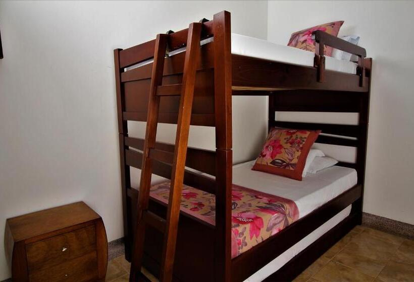 浴室共有ファミリールーム, Amazilia