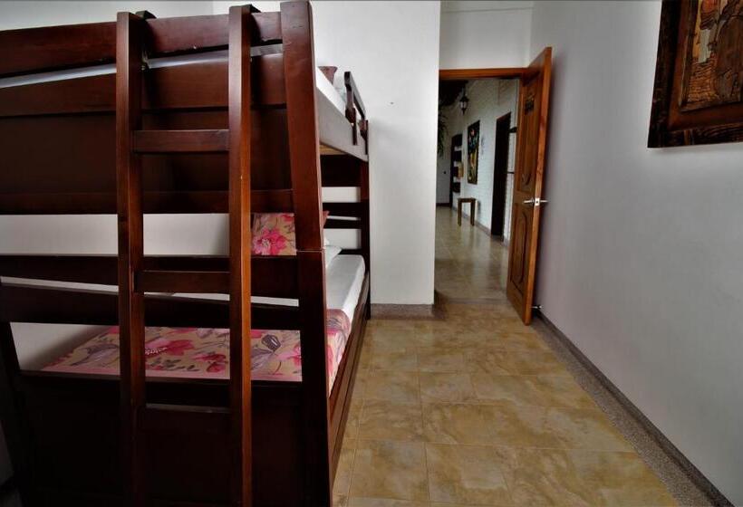 浴室共有ファミリールーム, Amazilia