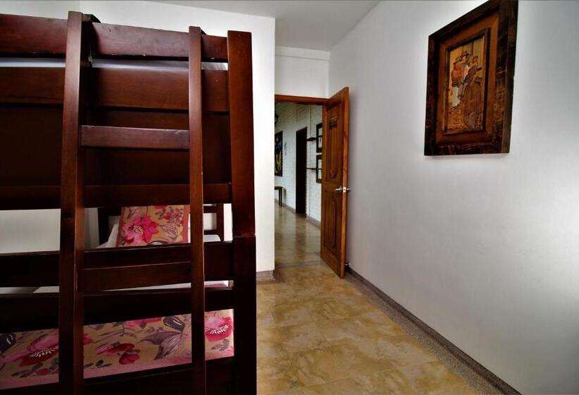 浴室共有ファミリールーム, Amazilia