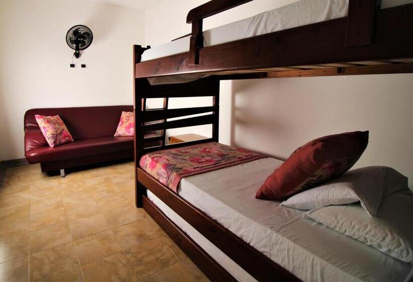 浴室共有ファミリールーム, Amazilia