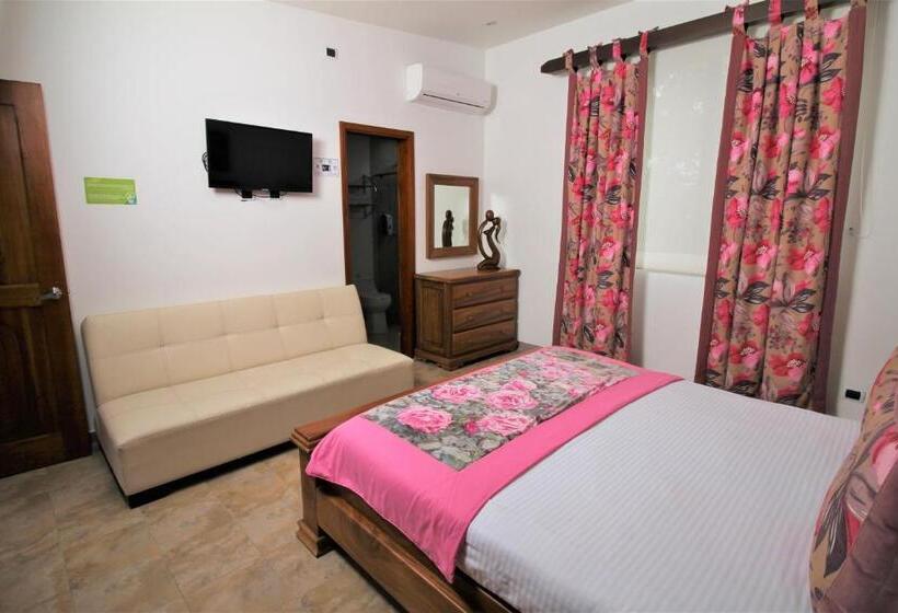 デラックスルーム, Amazilia