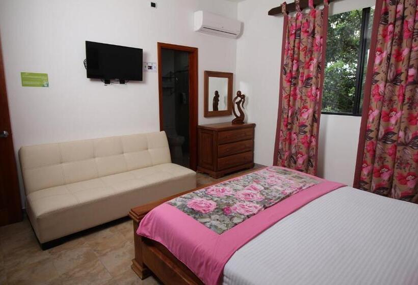 デラックスルーム, Amazilia