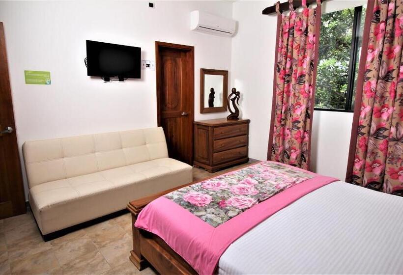 デラックスルーム, Amazilia