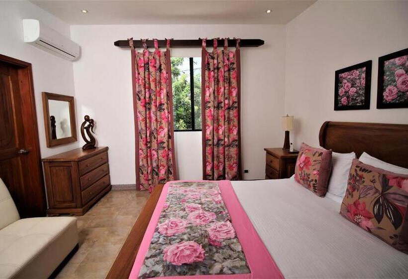 デラックスルーム, Amazilia