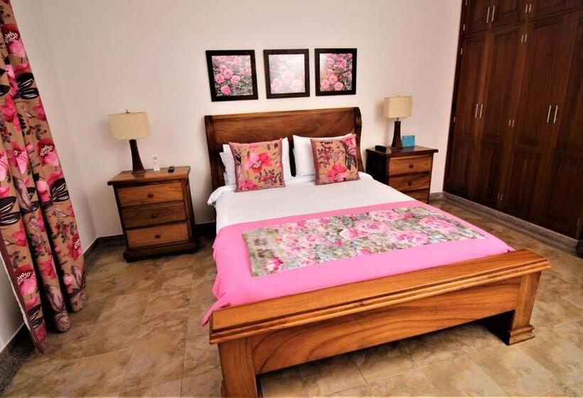 デラックスルーム, Amazilia