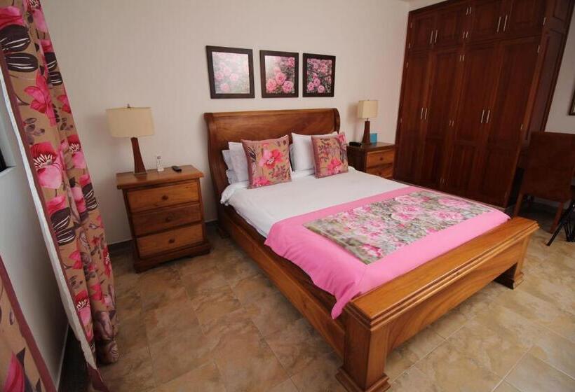 デラックスルーム, Amazilia