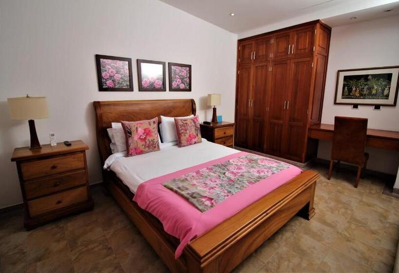 デラックスルーム, Amazilia