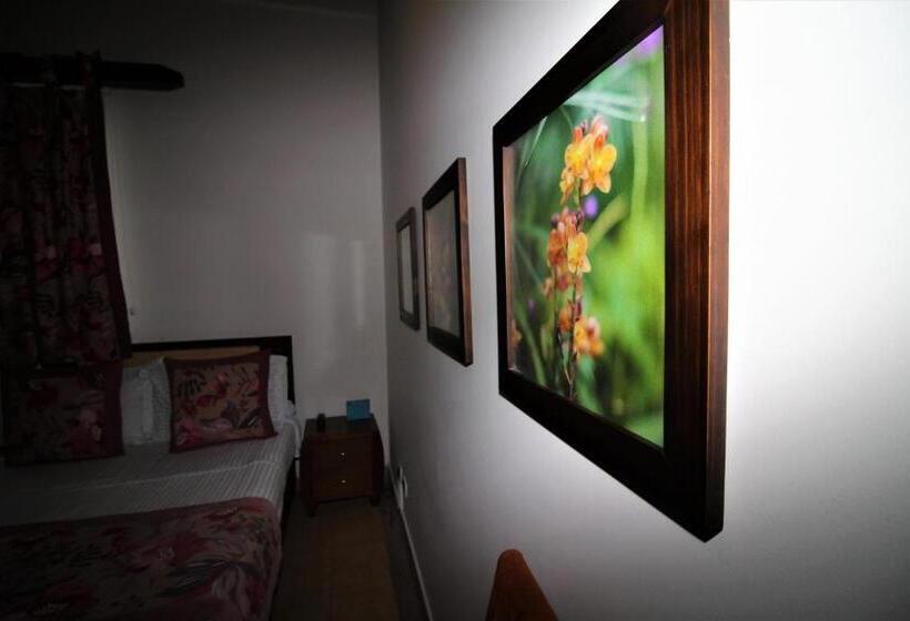 ２ダブルベッドのスタンダードルーム, Amazilia