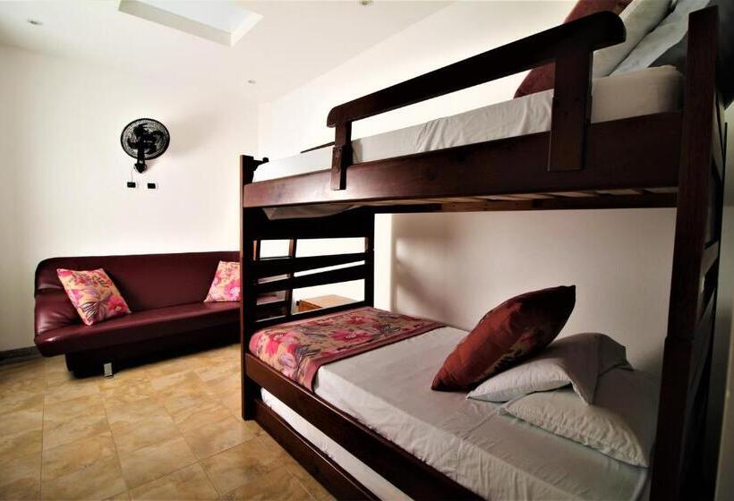 浴室共有ファミリールーム, Amazilia