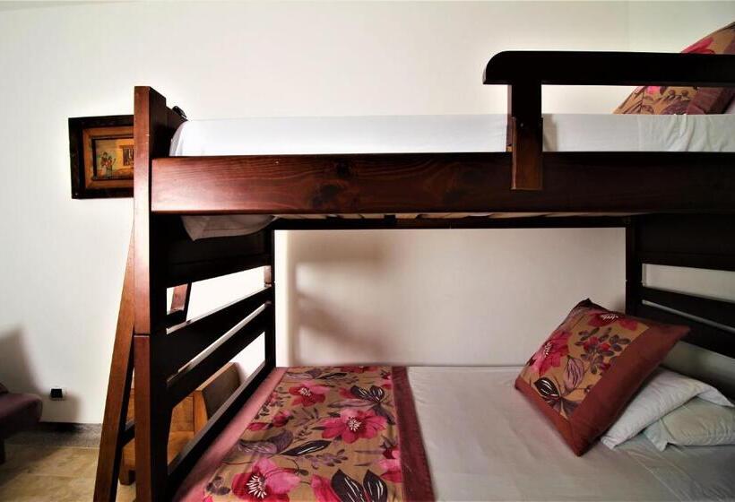 浴室共有ファミリールーム, Amazilia