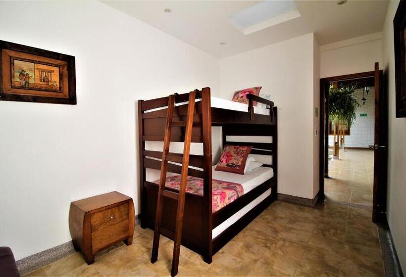 浴室共有ファミリールーム, Amazilia