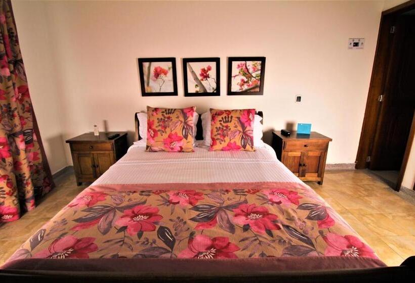 浴室共有ファミリールーム, Amazilia