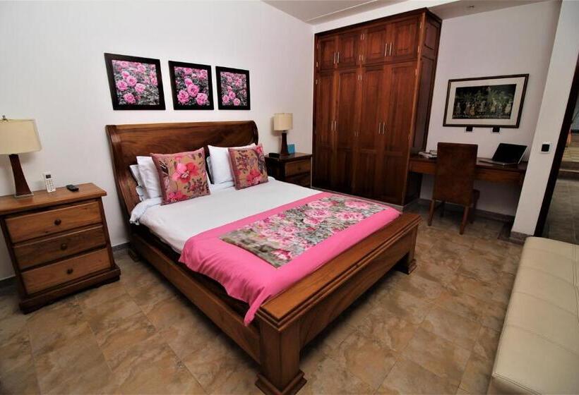 デラックスルーム, Amazilia