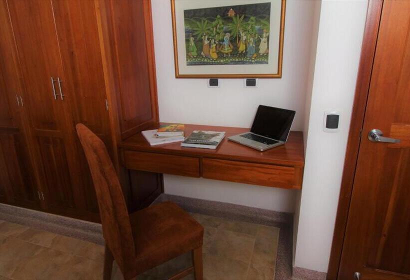 デラックスルーム, Amazilia