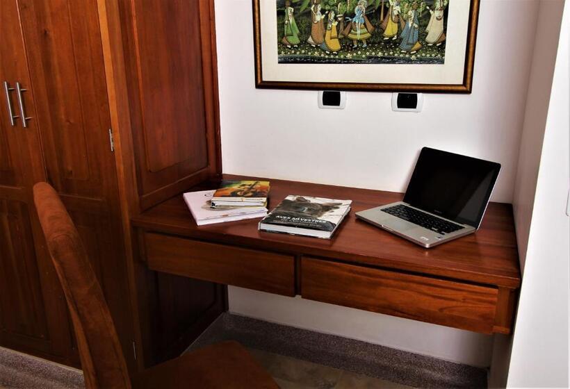 デラックスルーム, Amazilia