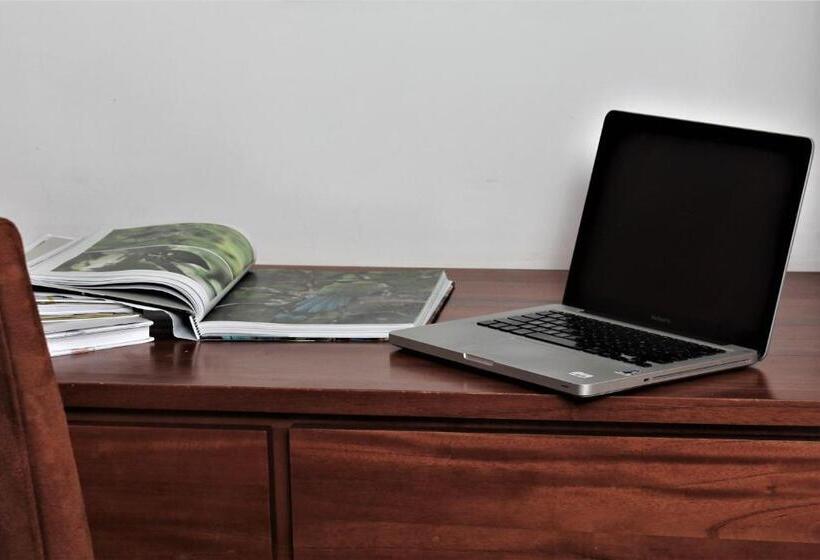 デラックスルーム, Amazilia