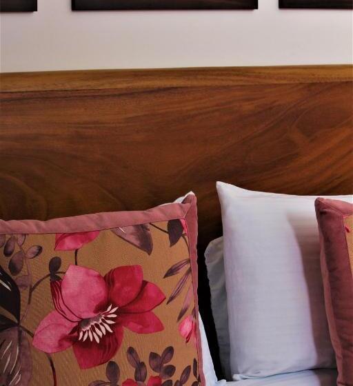 デラックスルーム, Amazilia