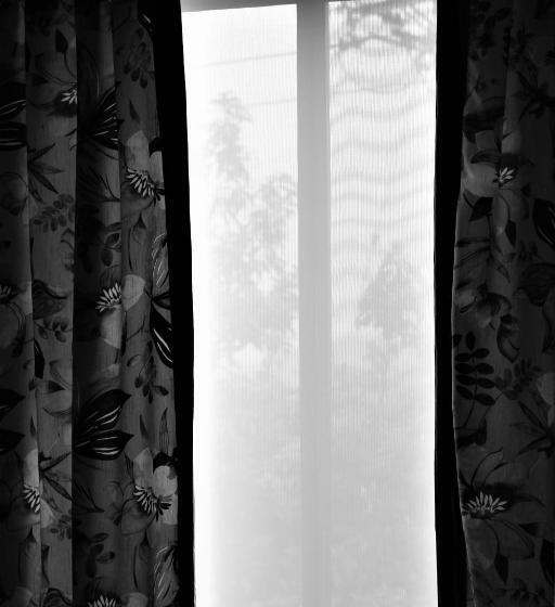 浴室共有ファミリールーム, Amazilia