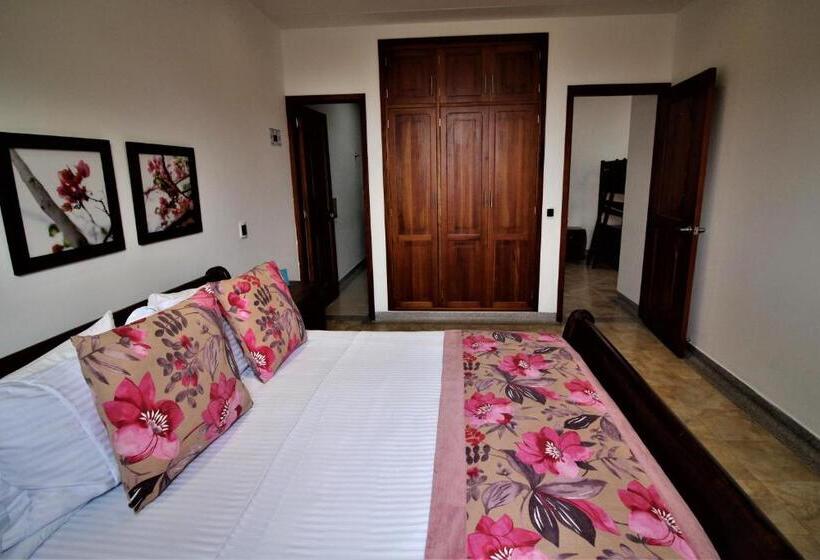 浴室共有ファミリールーム, Amazilia