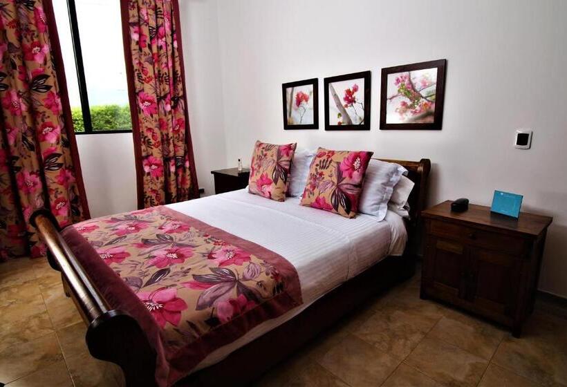 浴室共有ファミリールーム, Amazilia