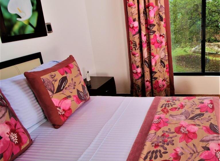 デラックスルーム, Amazilia