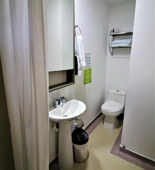 デラックスルーム, Amazilia