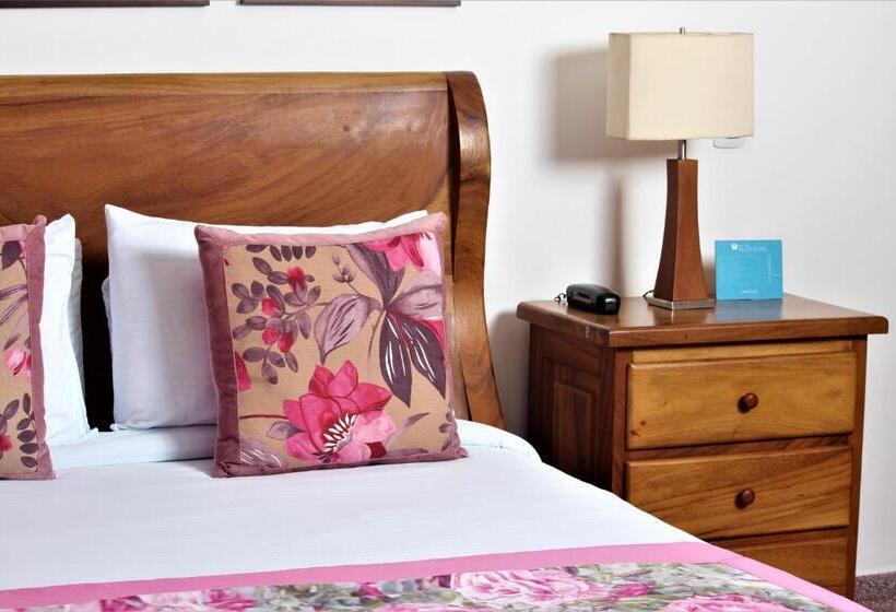 スーペリアールーム, Amazilia