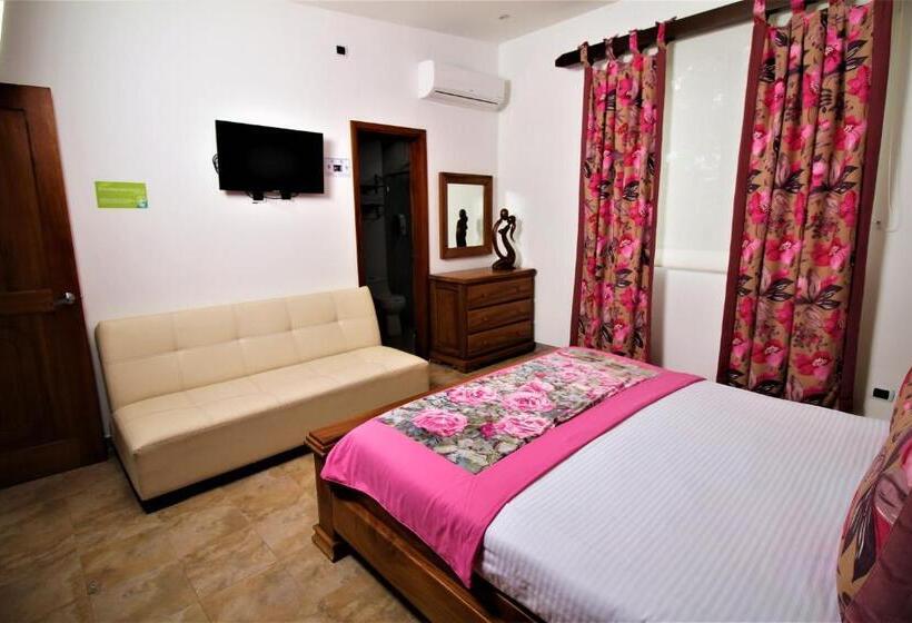 スーペリアールーム, Amazilia