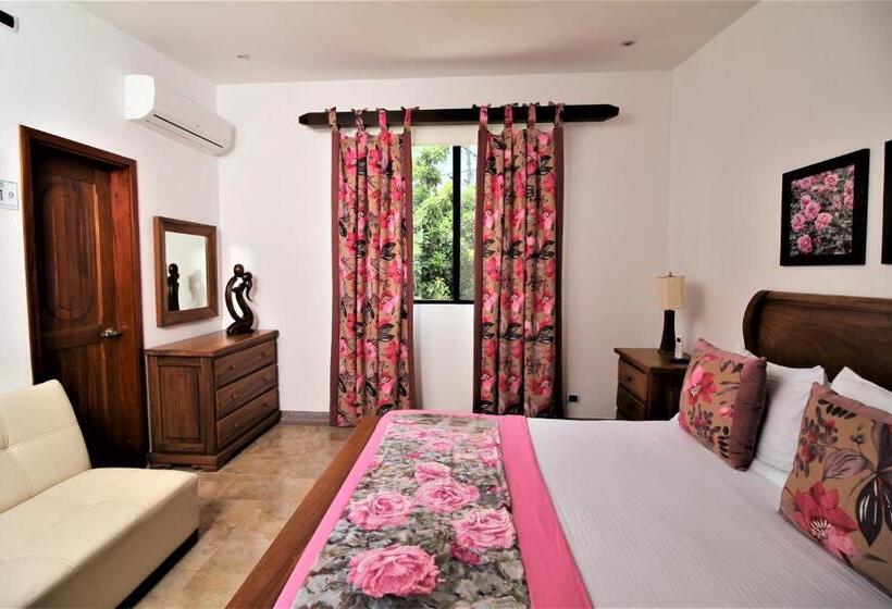 スーペリアールーム, Amazilia