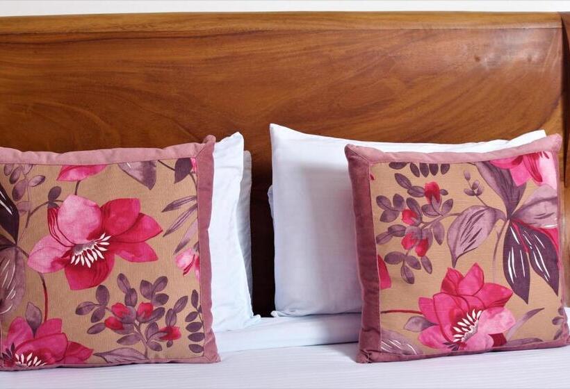 スーペリアールーム, Amazilia