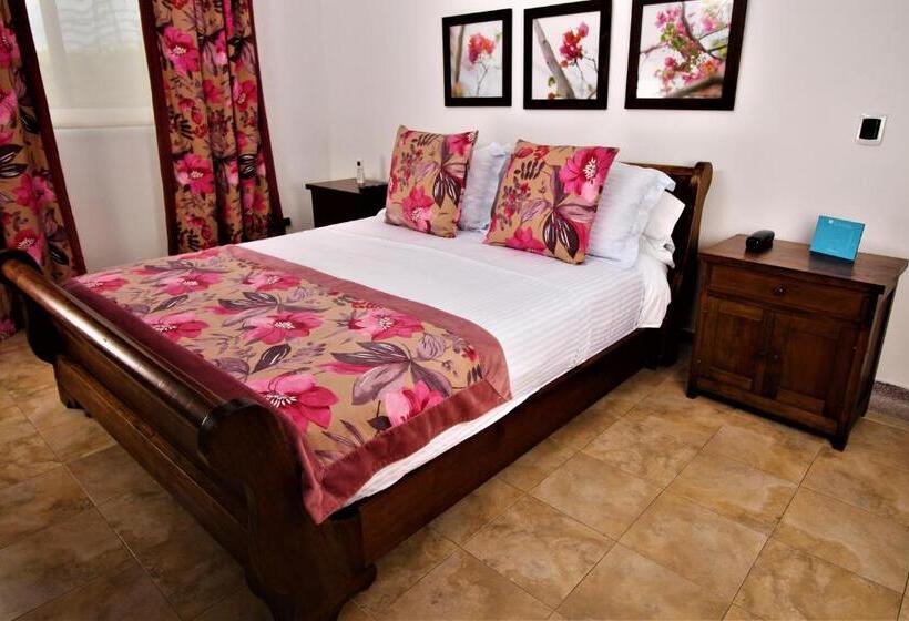 浴室共有ファミリールーム, Amazilia