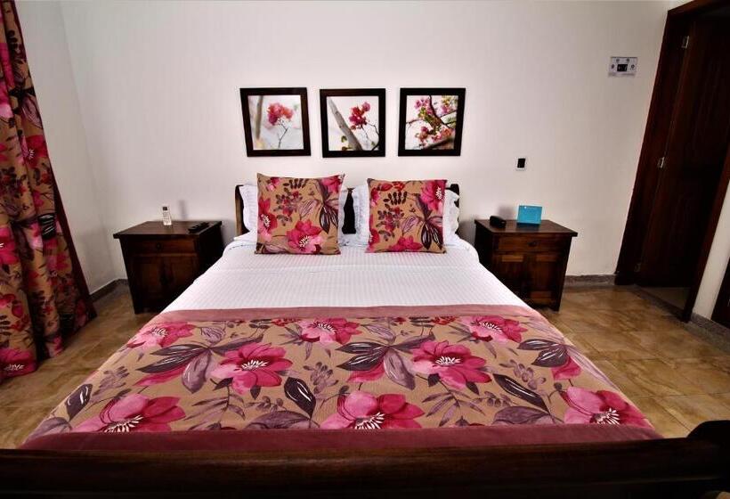 浴室共有ファミリールーム, Amazilia