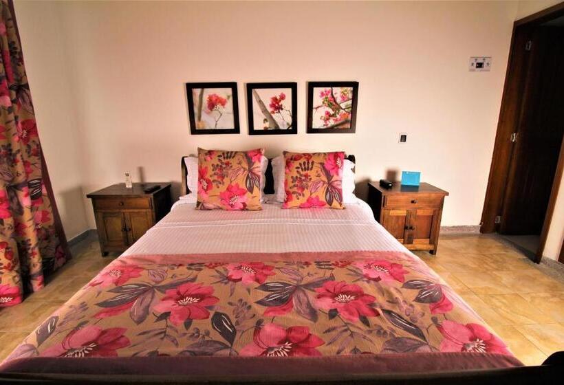 浴室共有ファミリールーム, Amazilia