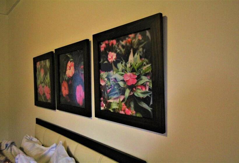 デラックスルーム, Amazilia