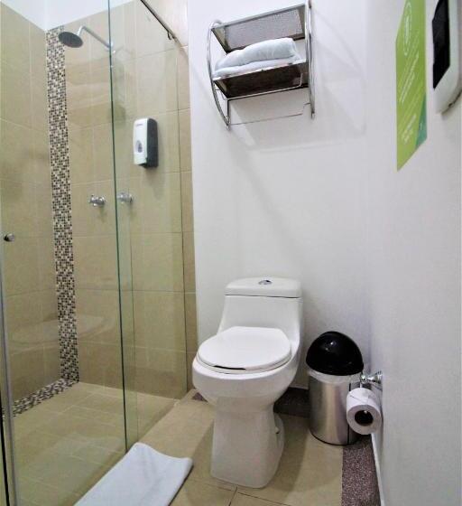 デラックスルーム, Amazilia